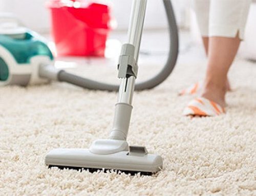Carpet Cleaning to Remove Pollutants, Mold Growth, and Stains