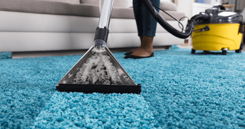 Carpet cleaning basics