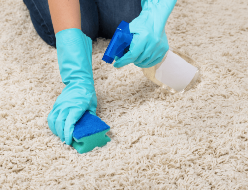 How to Get Stains Out of the Carpet?
