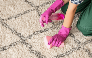 get rid of the most stubborn stains and clean carpets