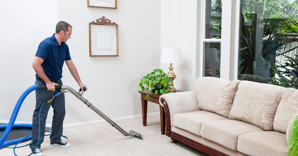 professional cleaner do a deep carpet cleaning service in wimbledon